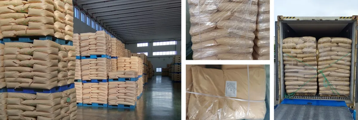 Xylitol biologique 2 Packing