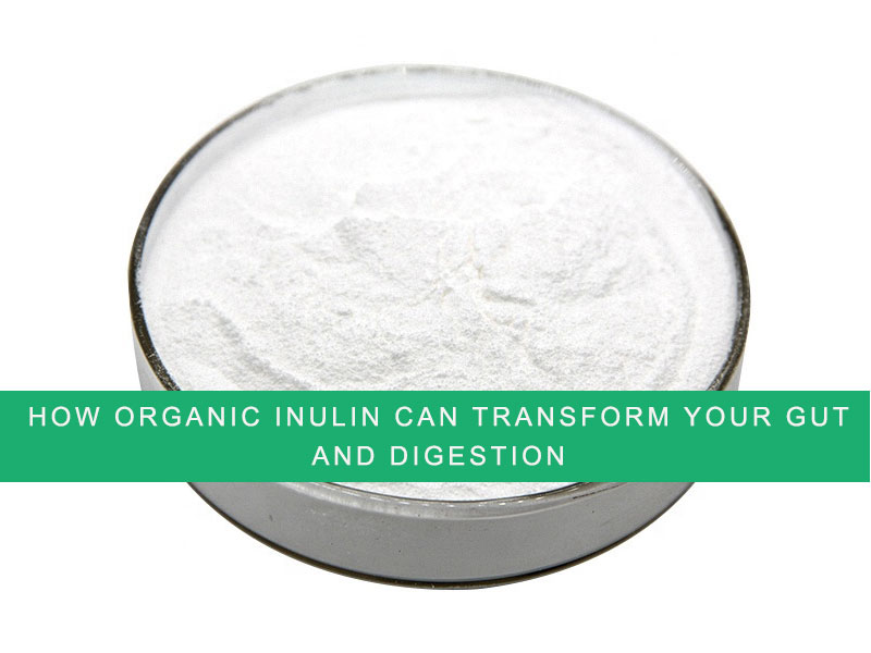 Accueil 8 How Organic Inulin Can Transform Your Gut and Digestion